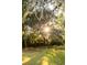 Lush landscape featuring mature trees draped with Spanish moss, creating a serene and natural setting at 1351 Winifred St, Mount Pleasant, SC 29464
