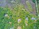 An aerial view showcasing the property's location amidst lush greenery and waterways at 18 Tupelo Trl, Edisto Island, SC 29438