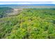 Aerial perspective capturing the property's proximity to the water and its position within the wooded landscape at 18 Tupelo Trl, Edisto Island, SC 29438