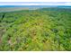 Aerial view capturing the community's lush greenery, marsh, and waterway, exemplifying the natural landscape at 18 Tupelo Trl, Edisto Island, SC 29438