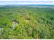 Aerial view displaying property nestled within a dense forest, ensuring privacy and seclusion at 18 Tupelo Trl, Edisto Island, SC 29438
