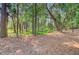 View of the property's lush backyard with mature trees and natural foliage creating a serene outdoor setting at 18 Tupelo Trl, Edisto Island, SC 29438