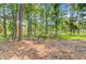 Mature trees in the sun dappled backyard offer shade and privacy, enhancing this property's outdoor appeal at 18 Tupelo Trl, Edisto Island, SC 29438
