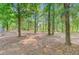 Sun dappled backyard with mature trees offering a private and secluded feel, perfect for nature lovers at 18 Tupelo Trl, Edisto Island, SC 29438