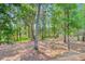 An outdoor view of the property with mature trees enhancing the sense of privacy and connection to nature at 18 Tupelo Trl, Edisto Island, SC 29438