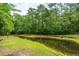 Scenic view of a tranquil pond surrounded by lush trees and greenery at 2011 N Highway 17 # 1400A, Mount Pleasant, SC 29466