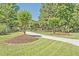 Long driveway leading to home, surrounded by landscaping with mature trees and manicured lawn at 3125 Sturbridge Rd, Mount Pleasant, SC 29466