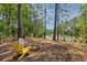 Secluded backyard retreat with fire pit and relaxing seating overlooking the water at 3685 Colonel Vanderhorst Cir, Mount Pleasant, SC 29466