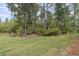Spacious green backyard surrounded by lush trees and natural landscape at 395 Wappoo Trace Ln, Summerville, SC 29486