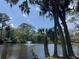 Picturesque pond with a fountain, surrounded by lush greenery and majestic trees at 491 Sea Cloud Cir, Edisto Island, SC 29438