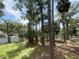 Scenic view of the tranquil pond and surrounding trees, offering a serene escape at 491 Sea Cloud Cir, Edisto Island, SC 29438