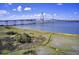 An aerial view showcasing the expansive waterway with the Ravenel Bridge in the background on a clear, sunny day at 828 Bridge Point Cir, Mount Pleasant, SC 29464