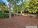 Well maintained side yard features trees and bushes to create an inviting ambiance at 101 Fresh Meadow Ln, Mount Pleasant, SC 29466