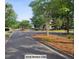 A tranquil street view featuring lush greenery, mature trees, and landscaping creates a serene and inviting ambiance at 101 Fresh Meadow Ln, Mount Pleasant, SC 29466