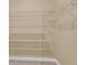 Bright closet with multiple rows of shelving creating optimal storage space at 1523 Nautical Chart Dr, Charleston, SC 29414