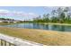 Scenic view of a tranquil pond surrounded by lush greenery and neighboring homes at 209 Parkwood Vista Way, Summerville, SC 29486
