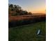 Picturesque backyard with lush grass, tall grass background, and an open sky at 324 Wild Horse Ln, Mount Pleasant, SC 29464