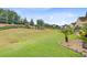Expansive backyard with lush green grass, mature trees, and well-maintained landscaping at 366 Tupelo Lake Dr, Summerville, SC 29486