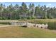Scenic dock featuring a ramp and a serene view of the lake surrounded by lush green trees at 366 Tupelo Lake Dr, Summerville, SC 29486