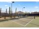 Well-maintained community tennis court surrounded by landscaping, with lighting for night play at 366 Tupelo Lake Dr, Summerville, SC 29486