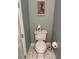 Cozy powder room features a classic toilet, decorative art, and stylish accents at 3998 Capensis Ln, Ravenel, SC 29470