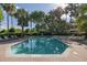 Sparkling pool surrounded by palm trees and lounge chairs for relaxation at 410 Yacht Harbor Ct # 410, Isle of Palms, SC 29451