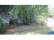 Secluded backyard featuring mature trees and lush greenery, offering privacy and shade at 47 Oswego St, Charleston, SC 29403