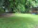 Lush green lawn and mature trees in the backyard, featuring a concrete pad and glimpses of a privacy fence at 47 Oswego St, Charleston, SC 29403