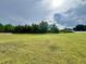 Spacious grassy lot with wooded area, ideal for recreation and outdoor activities at 505 Shady Maple St, Moncks Corner, SC 29461