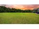 Expansive backyard with lush green grass, trees, and fenced perimeter at 727 Sonny Boy Ln, Johns Island, SC 29455