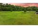 Large backyard with lush greenery, mature trees, and a fenced-in area offers privacy and space for outdoor activities at 727 Sonny Boy Ln, Johns Island, SC 29455