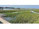 Scenic marsh view of pier with bridge in the distance, featuring vibrant green marsh grass at 81 Sandbar Ln # 28, Folly Beach, SC 29439