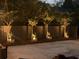 Backyard area with accent lighting on trees, enhancing the outdoor ambiance and fence at 974 Cliffwood Dr, Mount Pleasant, SC 29464