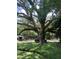 Expansive yard showcasing a majestic oak tree, providing ample shade and curb appeal to the property at 974 Cliffwood Dr, Mount Pleasant, SC 29464