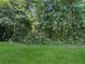 Secluded backyard featuring mature trees and lush green grass at 1069 Lexi Ct, Ladson, SC 29456