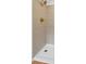 The walk-in shower features tiled walls and gold hardware at 1121 Armstrong Ave, Charleston, SC 29407