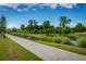Peaceful walking path beside a serene pond, with lush greenery and a bright blue sky overhead at 1392 Founders Way, Mount Pleasant, SC 29464