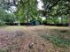 Large backyard surrounded by lush trees and a wooden fence offers plenty of space at 1640 Dogwood Rd, Charleston, SC 29414