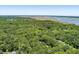 Gorgeous aerial view of lush, dense trees that leads to a bay, distant bridge, and a blue skyline at 2649 Starfish Dr, Johns Island, SC 29455