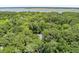 Aerial view of lush green treetops concealing the residence, with distant river views at 2649 Starfish Dr, Johns Island, SC 29455