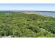 Expansive aerial shot highlighting the property's secluded location amidst lush greenery at 2649 Starfish Dr, Johns Island, SC 29455