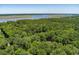 Aerial shot of tree canopy concealing the residence and a scenic waterfront with natural beauty at 2649 Starfish Dr, Johns Island, SC 29455