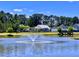 Enjoy the view of this pond with fountain and community playground in background at 3006 Central Ring Ct, Ridgeville, SC 29472