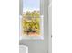 A beautiful and calming view of a tree from a bathroom window at 49 Ashley Ave, Charleston, SC 29401