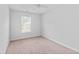 A clean, bright bedroom features neutral carpet, a ceiling fan, one window, and light gray walls at 491 Cedarview Rd, Summerville, SC 29486