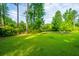 Wide open backyard with lush green grass and tall trees creating a serene and natural ambiance at 5023 Manor Rd, Hollywood, SC 29449