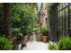 Back patio with brick wall, lush greenery and iron gate leading to landscaped garden at 55 E Bay St, Charleston, SC 29401