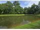 Pond surrounded by green grass and lush foliage, reflecting the clear sky and trees at 765 Certificate Ct, Charleston, SC 29414