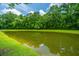 Scenic view of a tranquil pond surrounded by lush green trees and grassy banks at 765 Certificate Ct, Charleston, SC 29414