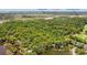 Aerial view of property at 1025 Scaup Ct surrounded by lush forest, near Freshfields Village at 1025 Scaup Ct, Kiawah Island, SC 29455